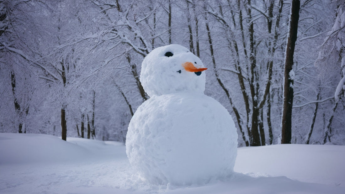 Aktuelle Neuerscheinungen: Snowman im Stil von Sia
