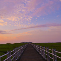 Wie frei willst du sein [Zeitlos Version]