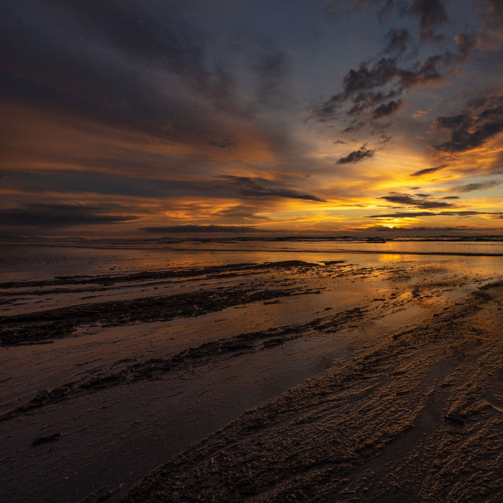 Bei dir brennt noch Licht im Stil von Denise - Midifile Cover Art