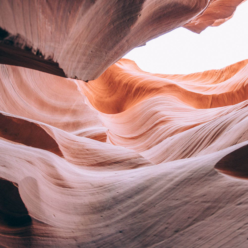 S.O.S. Lara I'm In Love im Stil von Matthias Carras - Midifile Cover Art