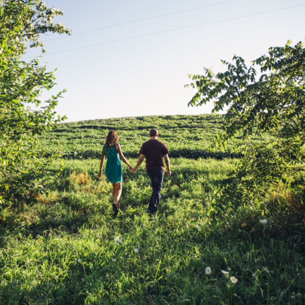 Der letzte Akkord im Stil von Michelle - Midifile Cover Art