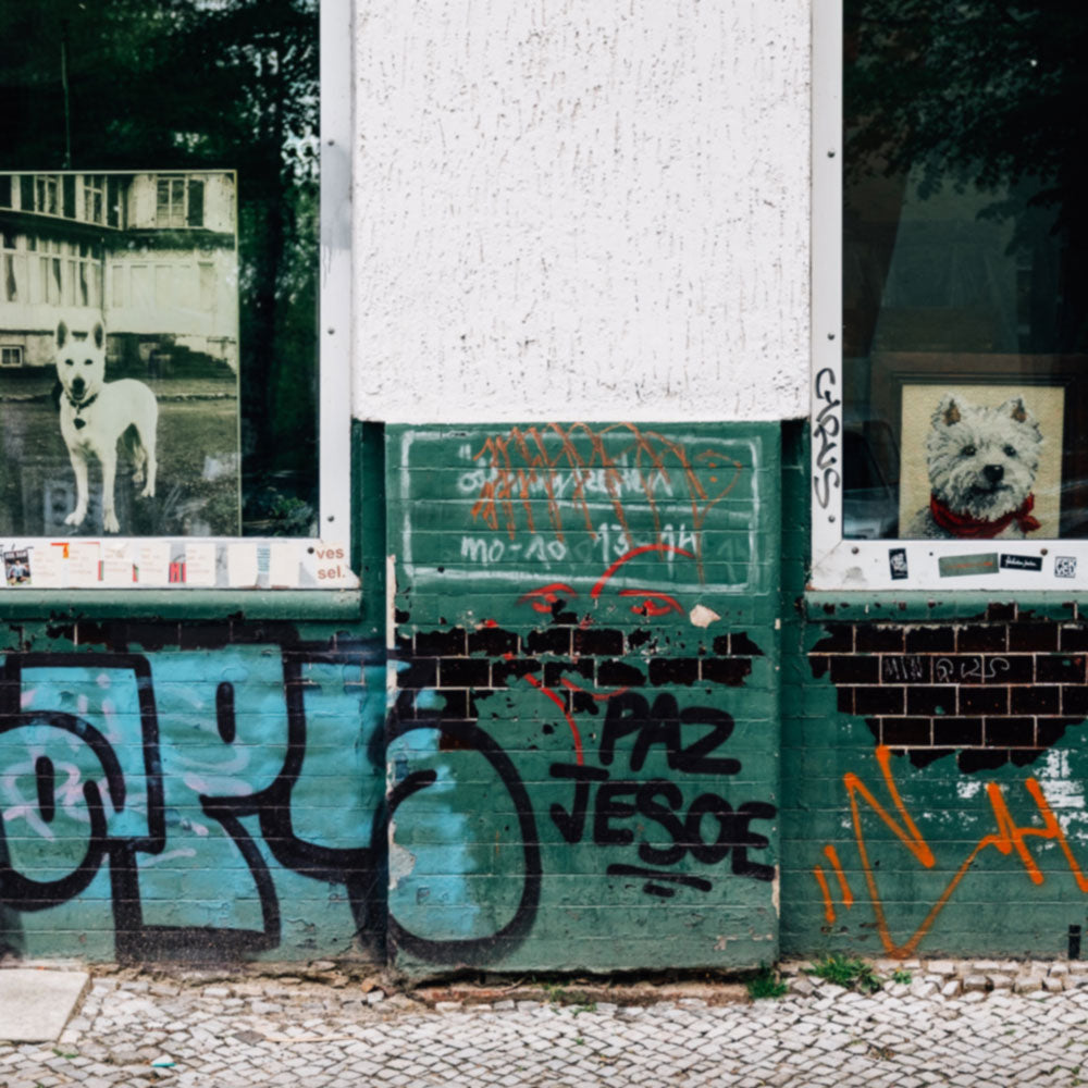 Wunder geschehen im Stil von Nena - Pro-Midifile Cover Art