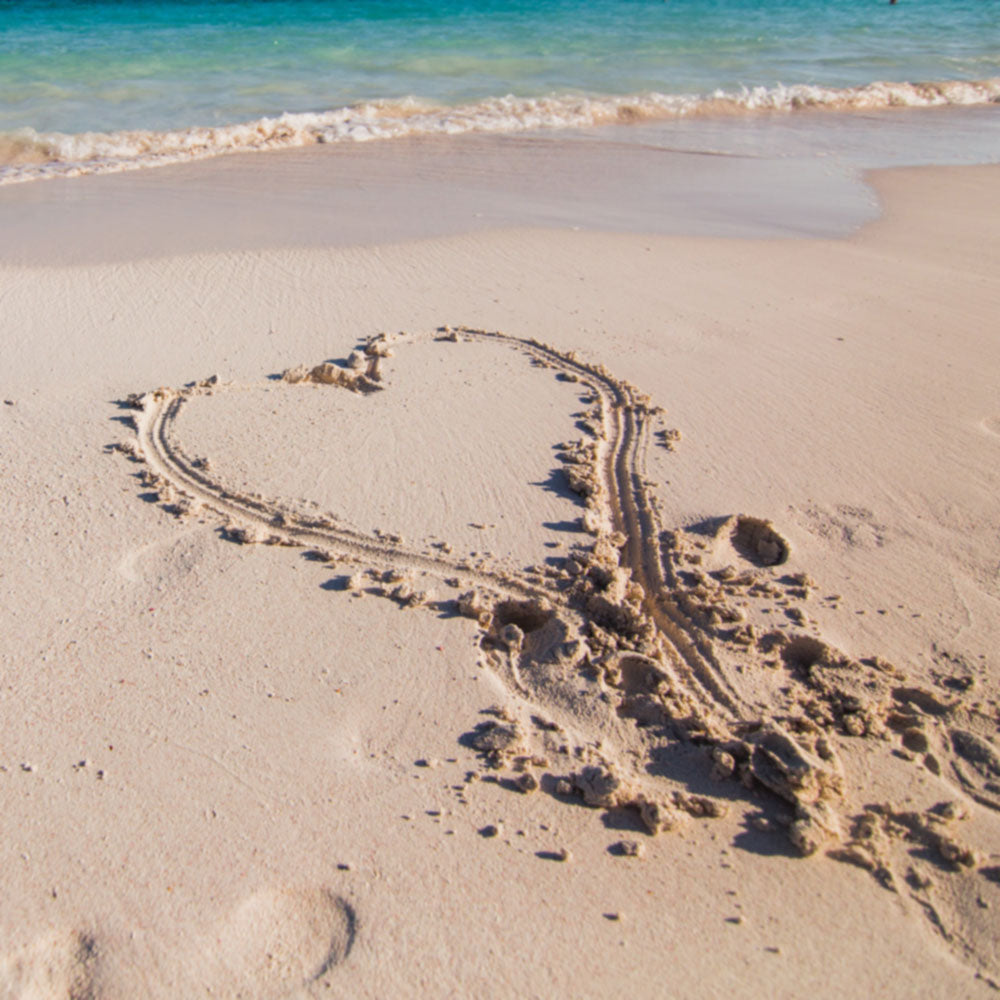 Sunny Day im Stil von Jeanette - Midifile Cover Art