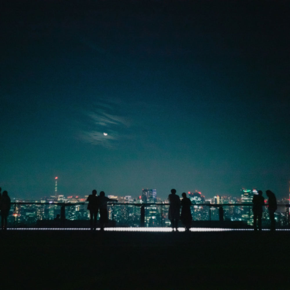 Soundtropolis im Stil von Members Of Mayday - Midifile Cover Art