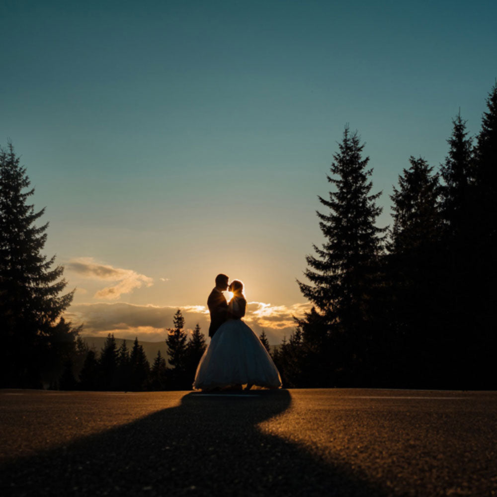 Liebe Ist Alles im Stil von Rosenstolz - Pro-Midifile Cover Art