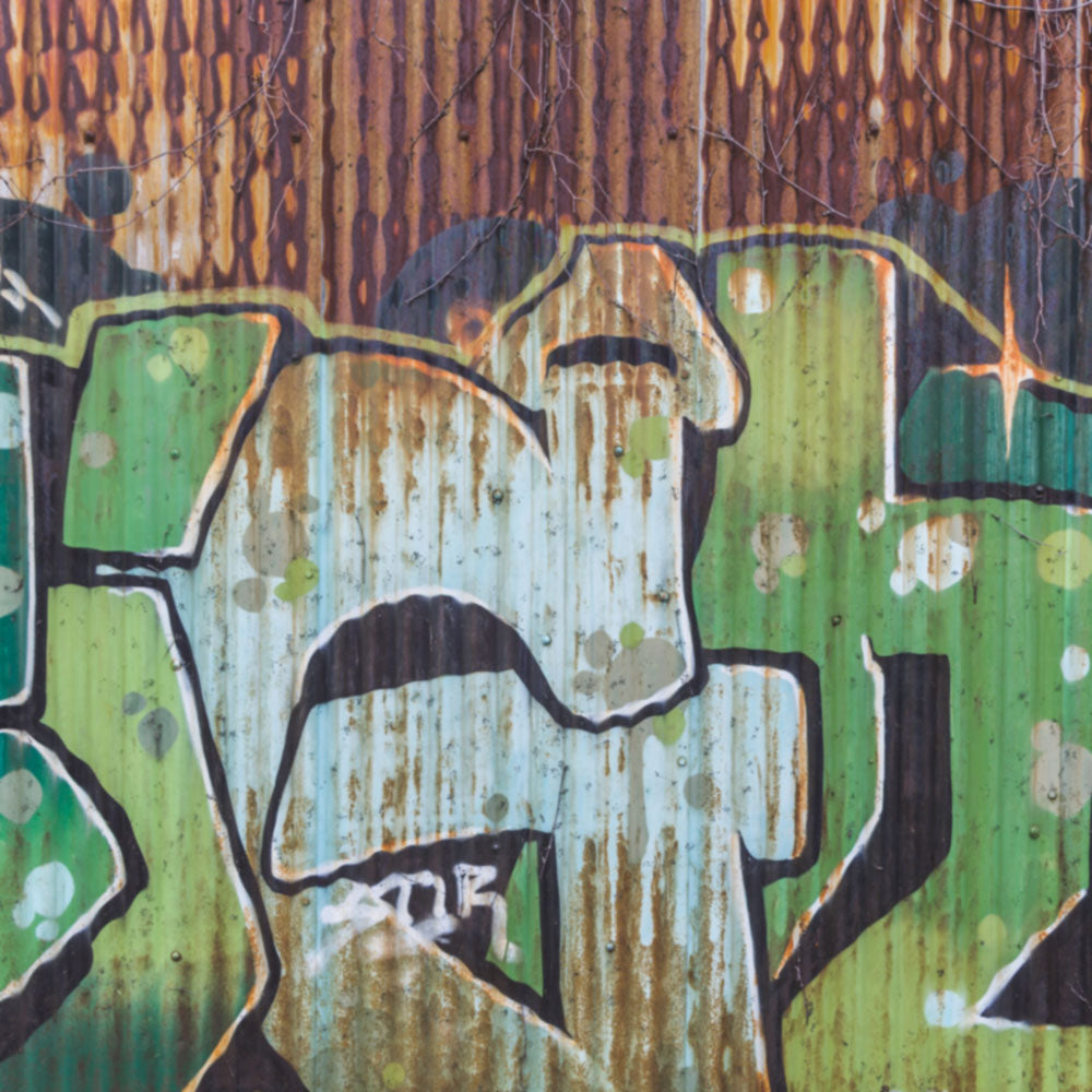 Carpe Diem im Stil von Nena - Midifile Cover Art