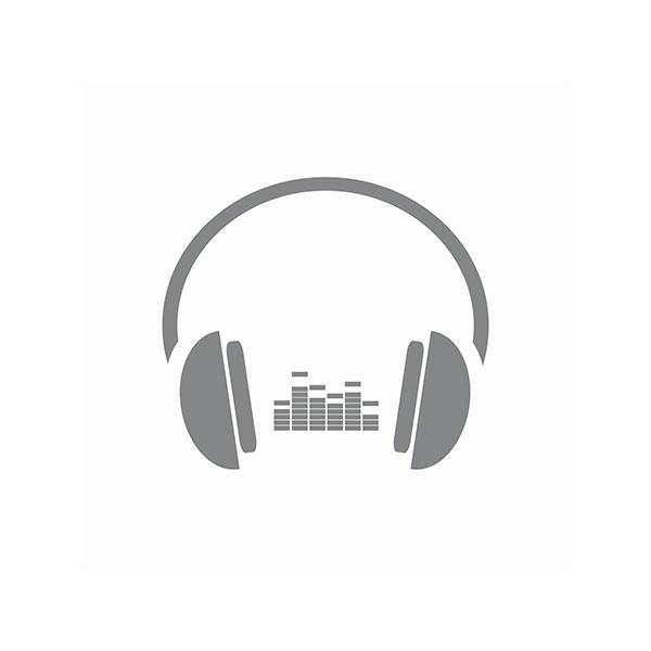 Das Lied der Stümper